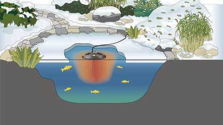 Ochrana jezírkových ryb v zimě