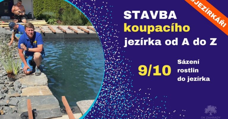 Sázení vodních rostlin do regenerační zóny koupacího jezírka — záběr z videa OK ZAHRADY, výsadba do čedičové štěpky