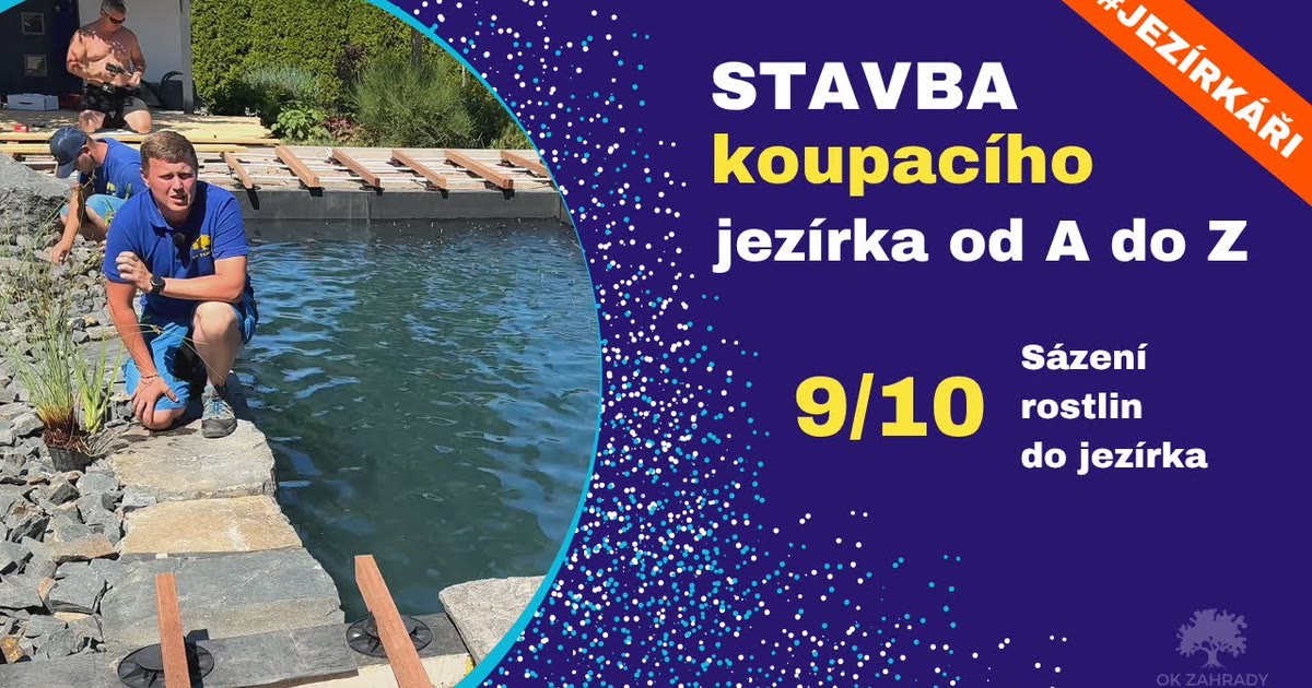 Sázení vodních rostlin do regenerační zóny koupacího jezírka — záběr z videa OK ZAHRADY, výsadba do čedičové štěpky